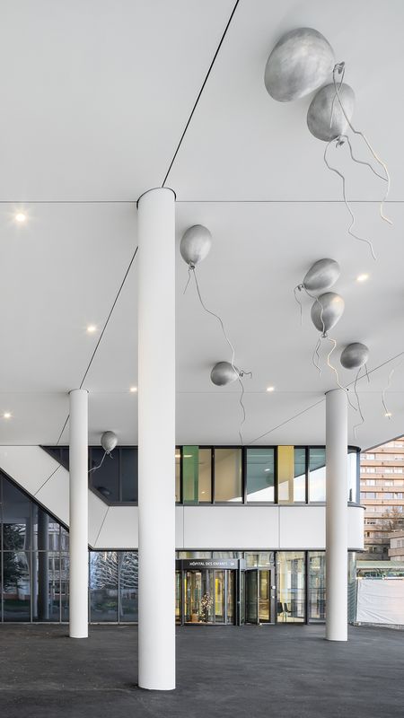 Hôpital des Enfants – Intervention artistique Soeurs Müller - entrée principale – Reto Duriet Photography